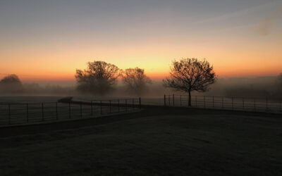 Suffolk Skies